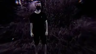 vine