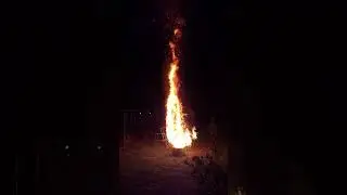 MASSIVE Christmas Tree Fire! SlowMo at 1min looks awesome!