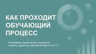 Как проходит обучающий процесс в Альфа Академии