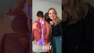 How we teach muscle anatomy of back muscles 