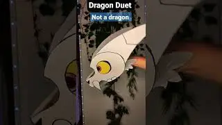 Dragon Duet 