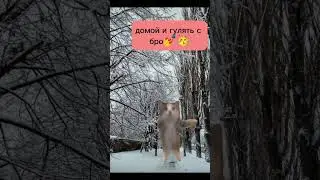 #мойдень
