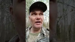 Егорьевские сморчки 7. 05. 2020. часть 1