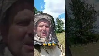 Пчëлки просто супер 🐝🤗 