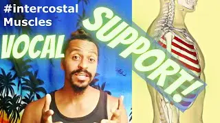 What is Voice-Support? – Anatomical Vocal Training (17)