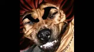 tunometecabrasaramabiche