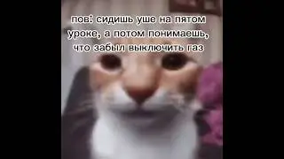 мем #shorts #мемы #мем