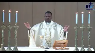 Sainte Messe du jour | Solennité de Tous les Saints | 01-11-2024 |  P. Achille José Nkomo B, FM