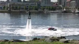 Wait, that's not a whale!