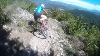 corriol dels boixos Bellver de Cerdanya galapecs(2)
