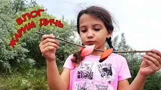 Сезон ПИКНИКОВ открыт ! Тима и Маша нашли странную дичь !