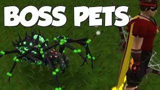 New RuneScape Boss Pets - All In HD!
