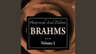 Neun Lieder und Gesänge, Op. 63: No. 8, Heimweh II