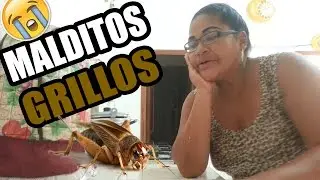 MALDITOS GRILLOS!!!! EN ECUADOR