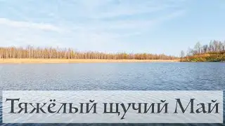 Майский Щук
