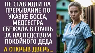 Не став идти на прерывание по указке босса, медсестра сбежала в глушь за наследством покойного деда…