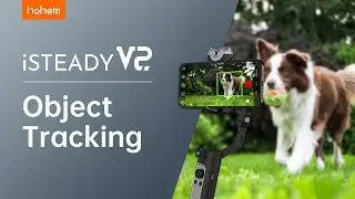 HOHEM | iSteady V2 | Object Tracking