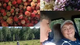 ПОЗДНО приехали/ НЕ ЛЮБЛЮ я это дело🍓🍓🍓, НО ПОРОСЯЧИЙ ИНСТИНКТ взял верх 🤣🤣🤣