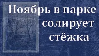 Ноябрь в парке. Короткая версия.
