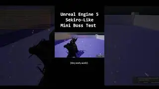 Unreal Engine 5 Sekiro-Like Boss Test