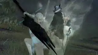 Vindictus (Lann & Lynn) friendship skill