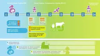 Complementary Feeding: What is the appropriate introduction?