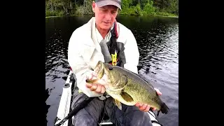 kayak bass fishing, two 5 pounders