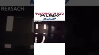 Проснулись от того , что затопило комнату
