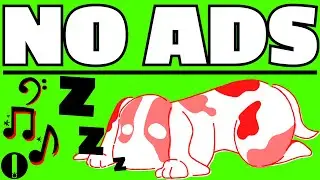 RELAXING DOG MUSIC (NO ADS PART 2)
