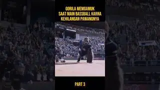 GORILLA PLAYING BASSBALL WITH THE BEST PERFORMANCE 