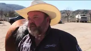 Pain relief in horse in seconds!