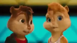 бурундуки