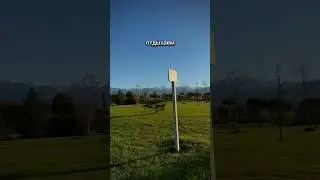Парк возле отеля Бархатные сезоны🌲