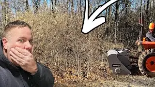 MASSIVE DISASTER while clearing this Grandpa’s Overgrown property for FREE?