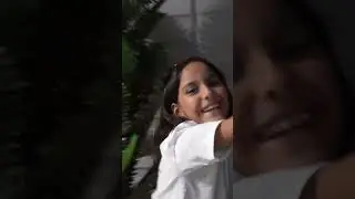 2 parte decorando le árbol de Navidad 😁