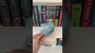 A Journey Through Literature📚🌟