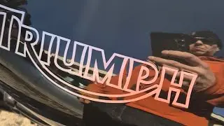 Triumph speed triple spring