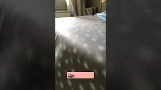 Расслабление начинается