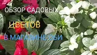 🌺Обзор САДовых цветов в магазине Оби