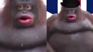 le monke - UH OH STINKY American vs British Side by Side Comparison