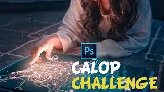 Calop challenge -who did better ?