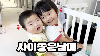 9개월 남동생 살뜰하게 돌보는 35개월 누나/ 제주 청귤청 만들었어요 / 엄마 도와주는 야무진 3살/ 제주도 육아 브이로그
