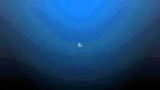 Развод куцыка на ранги:)