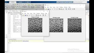 Dilation and Erosion in Image Processing with MATLAB Code