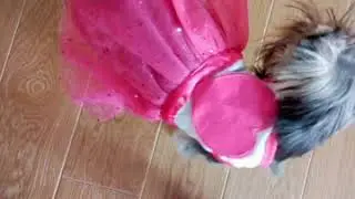 Принцесса Боня