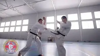 Показательная программа в рамках проекта 