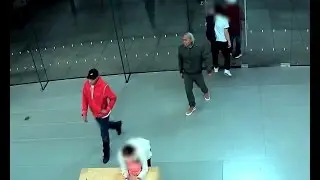 Apple Store Burglary - Glendale, CA
