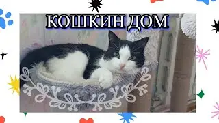 Кошкин дом с гнездом - распаковка и спустя два месяца