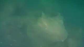 Naufragio del Vapor Arequipa