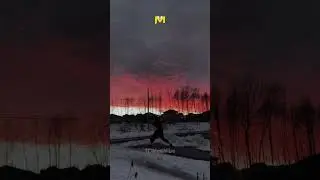 Одиночество 